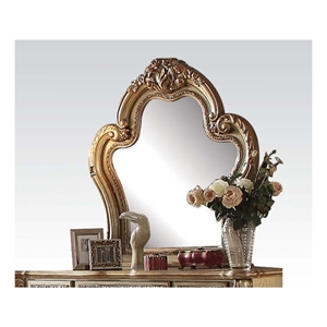 ACME Dresden Mirror in Gold Patina & Bone