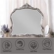 ACME Ariadne Mirror in Antique Platinum