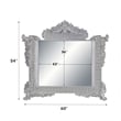 ACME Valkyrie Mirror in Antique Platinum