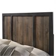 Picket House Furnishings Harrison King Panel Bed in Walnut