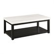 Picket House Furnishings Evie Marble Rectangle Coffee Table in White/Black