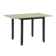 Picket House Furnishings Tuttle 3PC Drop Leaf Dining Set in Black