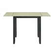 Picket House Furnishings Tuttle 3PC Drop Leaf Dining Set in Black