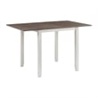 Picket House Furnishings Tuttle 3PC Drop Leaf Dining Set in Brown and White