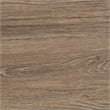 Picket House Furnishings Ulysses Youth 5-Drawer Chest in Brown and White