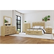 Picket House Furnishings Woodridge Full Storage 3PC Bedroom Set in Natural