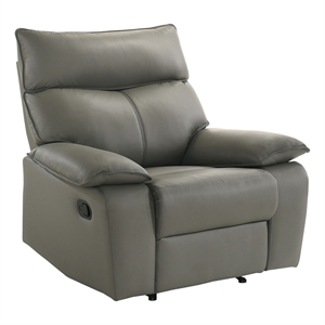 Picket House Furnishings Murray Motion Recliner in Aviarah Grey