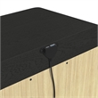 Woodridge  2-Drawer Nightstand with USB in Black with Grain