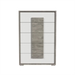 Picket House Furnishings Vega 5 Drawer Chest in Dual Tone