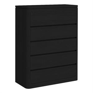Picket House Furnishings Camelot Chest in Black