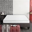 Primo International Suri 6in Polyurethane Twin Mattress in White