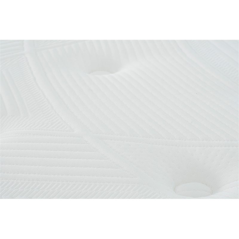 Primo International Equilibria 10