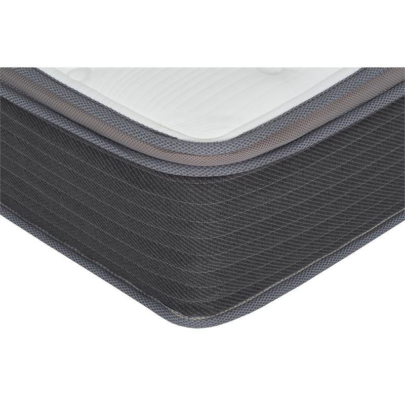 Primo International Equilibria 10