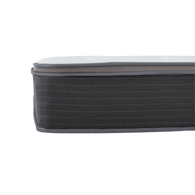 Primo International Equilibria 10