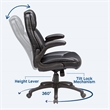Sealy Atlas Ergonomic Swivel Office Chair with FlipUp Arms