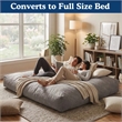 Sealy Teddy 2-in-1 Beige Shredded Foam Bean Bag Chair and Memory Foam Pillow