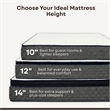 Polar Full Hybrid 10 inch Gel Memory Foam Hybrid Mattress