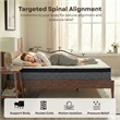 Polar Full Hybrid Euro Top 14 inch Gel Memory Foam Hybrid Mattress