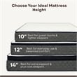 Polar California King Hybrid 10 inch Gel Memory Foam Hybrid Mattress
