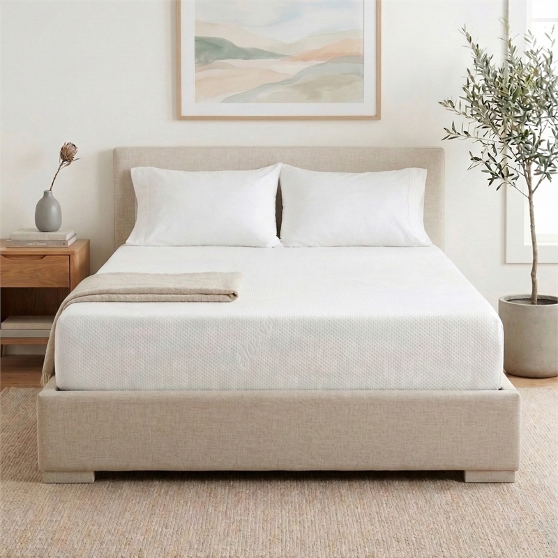 Divine King Medium Gel Foam 8 in. Mattress