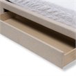Baxton Studio Brandy Upholstered Queen Storage Platform Bed in Beige