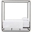 Baxton Studio Eva Queen Metal Canopy Bed in Black