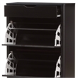 Baxton Studio Cayla 4 Drawer Shoe Cabinet in Black