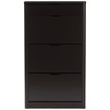 Baxton Studio Cayla 4 Drawer Shoe Cabinet in Black