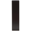 Baxton Studio Cayla 4 Drawer Shoe Cabinet in Black