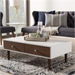 Baxton Studio Gemini Storage Coffee Table in White and Brown