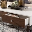 Baxton Studio Gemini Storage Coffee Table in White and Brown