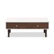 Baxton Studio Gemini Storage Coffee Table in White and Brown