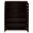 Baxton Studio Adalwin 2 Door Shoe Cabinet in Dark Brown
