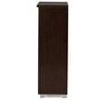 Baxton Studio Adalwin 2 Door Shoe Cabinet in Dark Brown