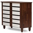 Baxton Studio Gisela 2 Door Shoe Cabinet in Dark Oak and White