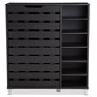 Baxton Studio Shirley 2 Door Shoe Cabinet in Espresso