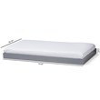 Baxton Studio Payton Twin Trundle in Gray