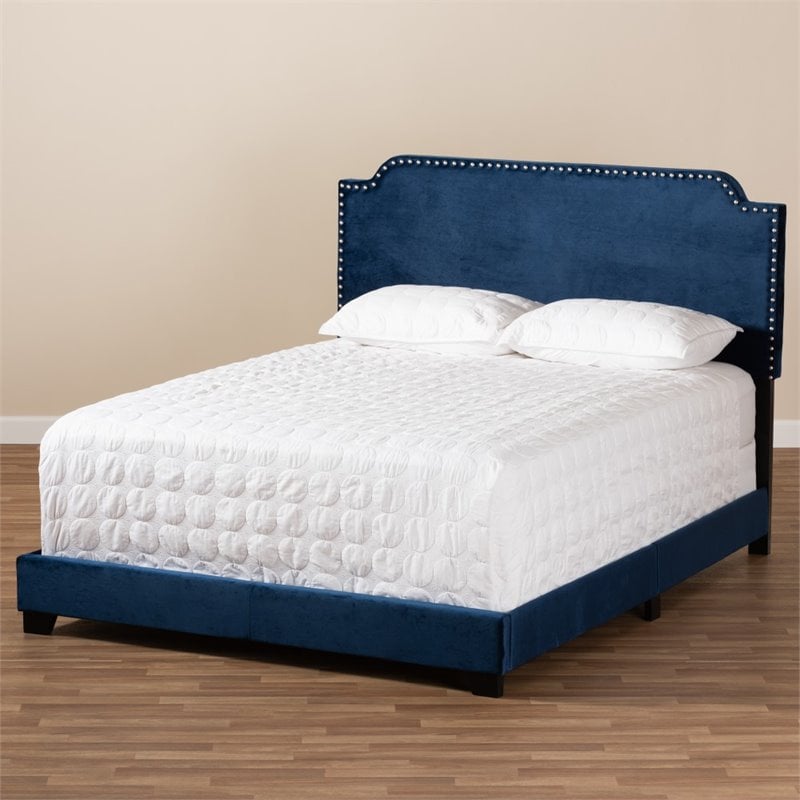 Baxton Studio Candace Velvet Nailhead Upholstered Full Bed in Navy