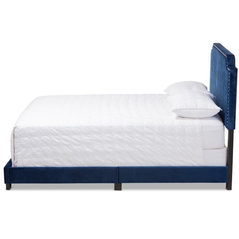 Baxton Studio Candace Velvet Nailhead Upholstered King Bed in Navy