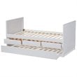 Baxton Studio Linna Storage Daybed with Trundle in White