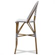 Baxton Studio Ilene 30