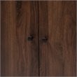 Baxton Studio Rossin Walnut Brown Finished 2-Door Wood Shoe Cabinet
