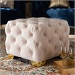 Baxton Studio Avara Modern Tufted Velvet Ottoman in Light Beige and Gold
