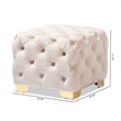 Baxton Studio Avara Modern Tufted Velvet Ottoman in Light Beige and Gold