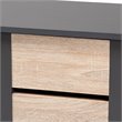 Baxton Studio Melle Two-Tone Brown and Dark Gray 2-Door Shoe Cabinet