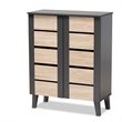 Baxton Studio Melle Two-Tone Brown and Dark Gray 2-Door Shoe Cabinet