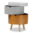 Baxton Studio Elison Multi Color 3-Tier Wood End Table