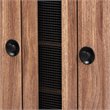 Baxton Studio Valina 2-Door Wood Shoe Storage Cabinet in Oak-Black