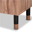 Baxton Studio Valina 2-Door Wood Shoe Storage Cabinet in Oak-Black