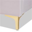 Baxton Studio Saverio Modern Velvet Upholstered Queen Platform Bed in Light Pink